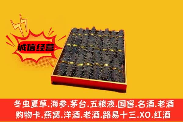 红河州回收海参